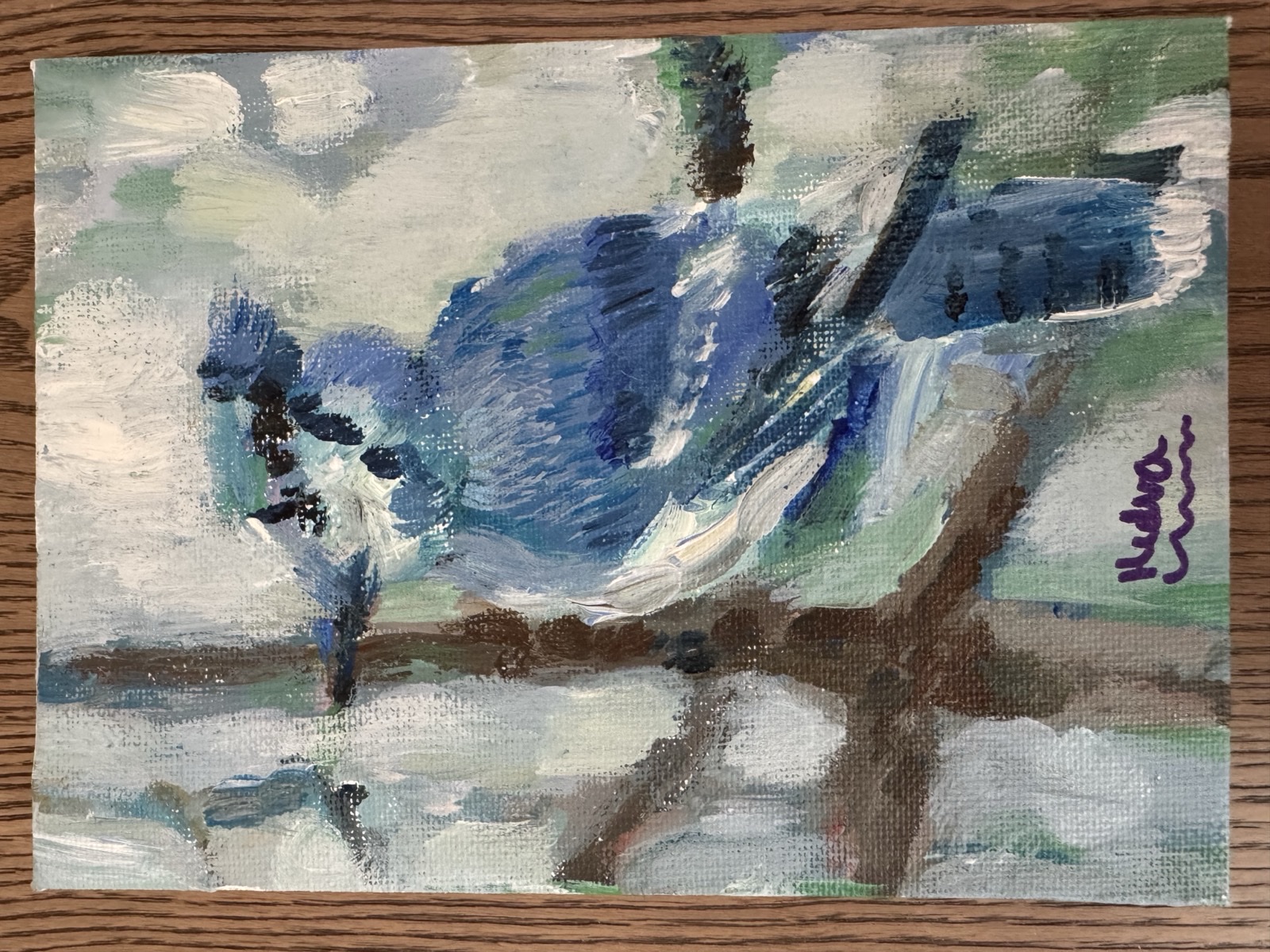 The Majestic Blue Jay